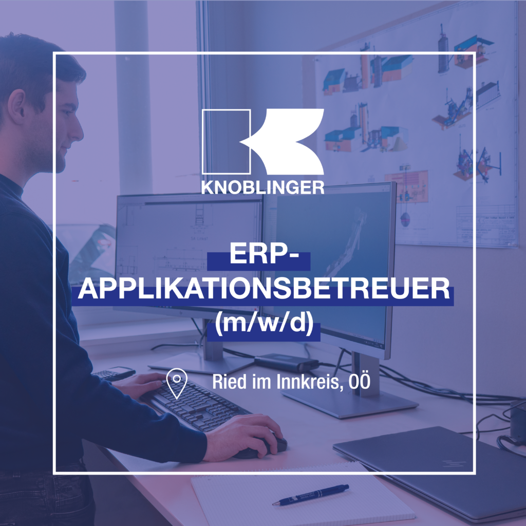 ERP-Applikationsbetreuer